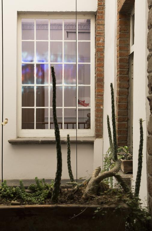 El Patio 77 B&B 멕시코 시 외부 사진