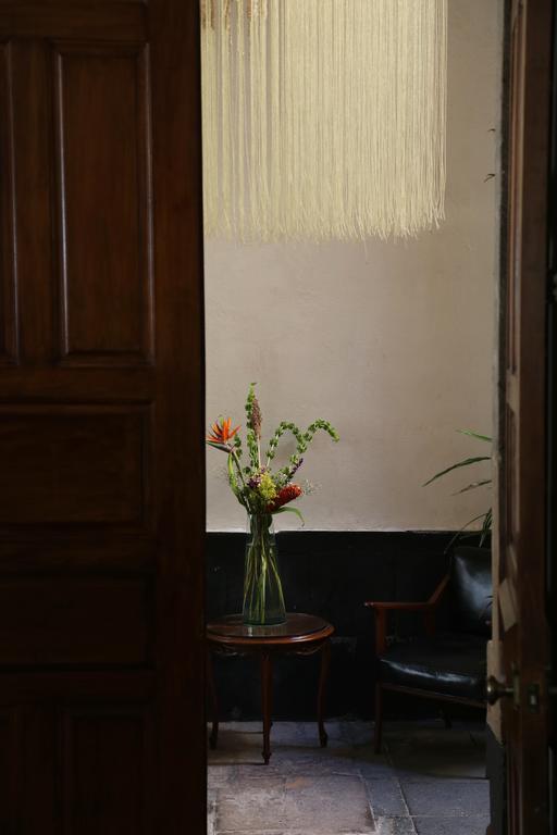 El Patio 77 B&B 멕시코 시 외부 사진