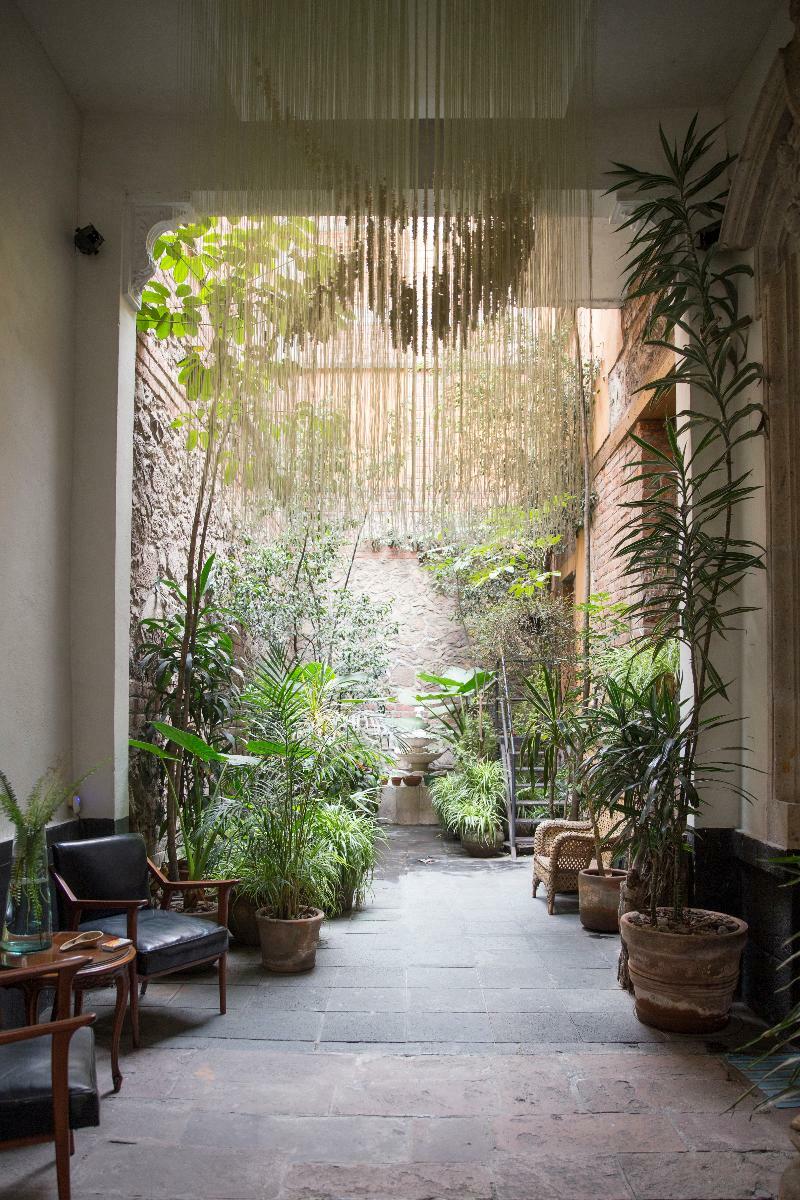 El Patio 77 B&B 멕시코 시 외부 사진